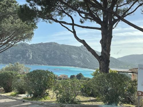 Appartement & Piscine Santa Giulia