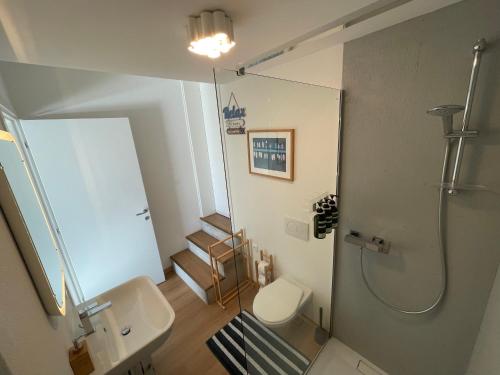 a bathroom with a shower and a toilet and a sink at Escapade Ticino in Neggio