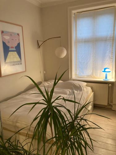 - une chambre avec une plante devant un lit dans l'établissement 400 m from metro modern cozy apartment, à Copenhague