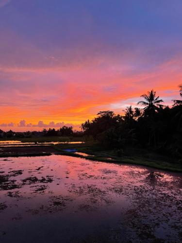 Luxe Villas Bali – Photos 2