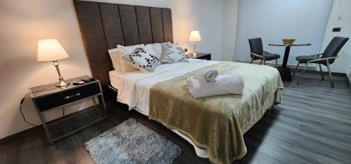 Hermoso Lofts Centro De Santiago في سانتياغو: غرفة نوم بسرير كبير مع اللوح الخشبي