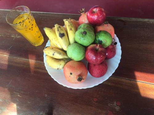 Comida en la habitación en casa particular o alrededores