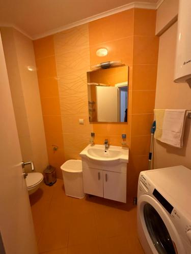 a bathroom with a sink and a washing machine at Apartman Jedro Lux in Rafailovici