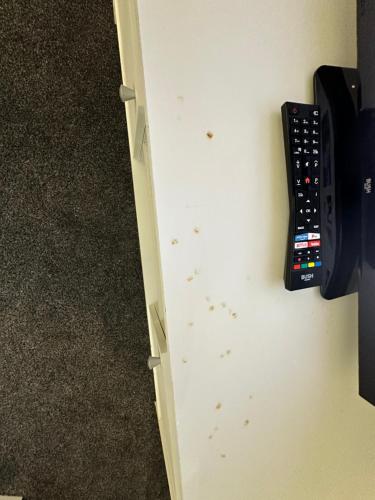 Ảnh trong thư viện ảnh của Lovely Town house Room 5 ở Parkside