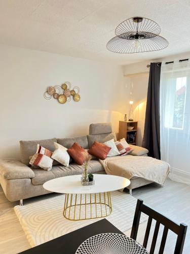 CICONIA : CENTRE-VILLE MULHOUSE, PARC NOUVEAUX BASSINS A PROXIMITE