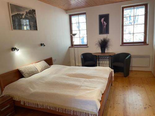 1 Schlafzimmer mit einem Bett, einem Tisch und 2 Stühlen in der Unterkunft Apartmány Telnice - Medorhof in Adolfov