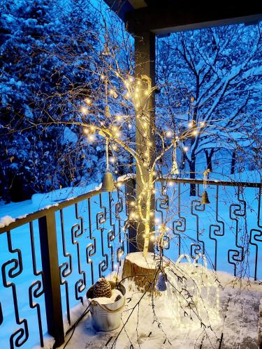 a tree with lights on it in the snow at LOFT WAPITI in Hutisko