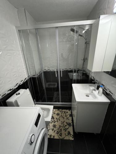 a bathroom with a shower and a toilet and a sink at Two luxury bedroom apartment D&V in Berovo