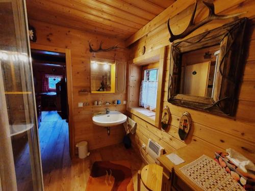 ein Bad mit einem Waschbecken und einem Spiegel in der Unterkunft Chalet Hüttentraum by Globalimmoservice in Bad Kleinkirchheim