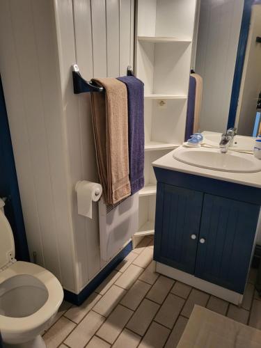 une salle de bain avec toilettes et lavabo dans l'établissement Plage des Dunes - Grand Studio ouvert avec 1 mezzanine et 1 alcôve, à Fouesnant