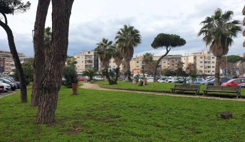 a park with benches and palm trees in a city at Euforbia House in Lido di Ostia
