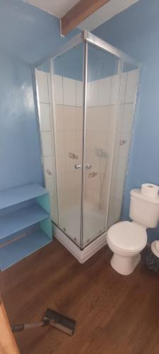 La salle de bains est pourvue de toilettes et d'une douche en verre. dans l'établissement Hostal Henua Roa 2, à Hanga Roa