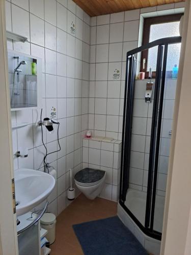 La salle de bains est pourvue d'une douche, de toilettes et d'un lavabo. dans l'établissement Ferien- und Business Wohnung, à Mönsheim