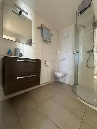 een badkamer met een douche, een wastafel en een toilet bij Frühstückspension Alpenrose Bed & Breakfast in Iselsberg