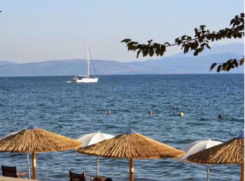 a beach with umbrellas and a boat in the water at Ambracian Gulf Comfort House in Menídion