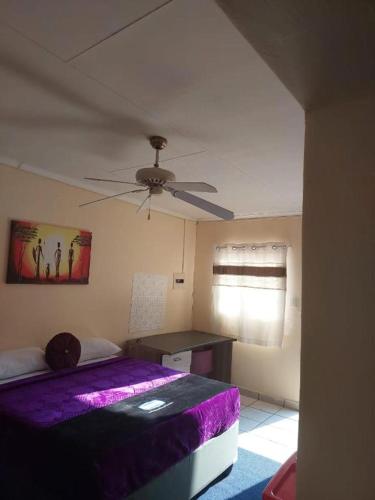 Plk Noord Guesthouse – Photos 5