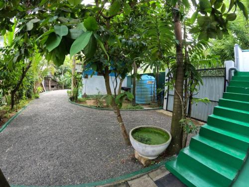 Taman di luar New Star Light