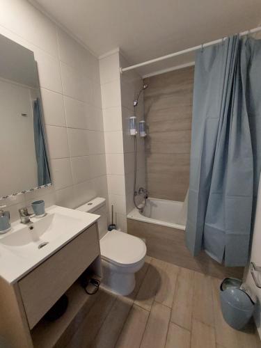 a bathroom with a toilet and a sink and a shower at Apartamento Santiago Caupolicán in Santiago