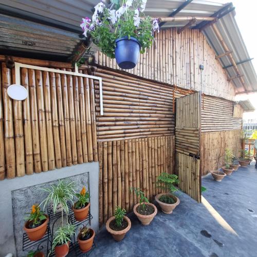 a bunch of potted plants on the side of a building at Alohi The terrace Homestay in Tezpur