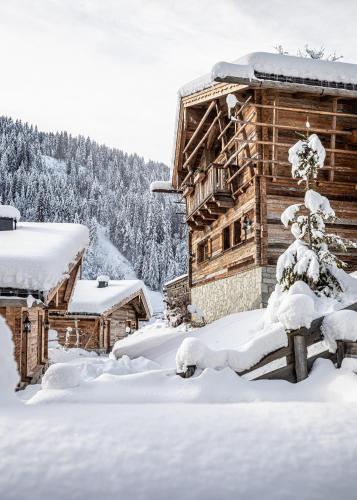 Pool Luxury Lodge – Photos 3