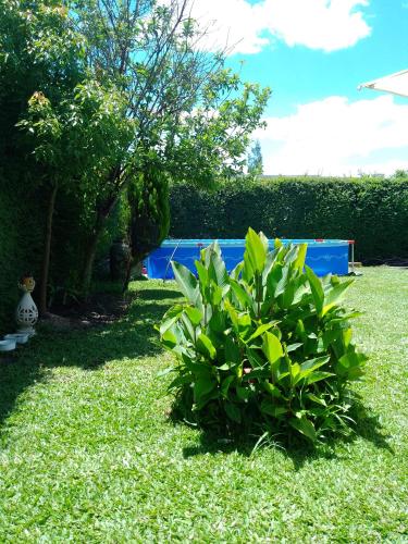 Como en casa – Photos 3
