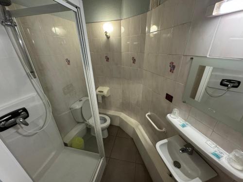 ein Bad mit einer Dusche, einem WC und einem Waschbecken in der Unterkunft Le Terminus d'Albi in Albi