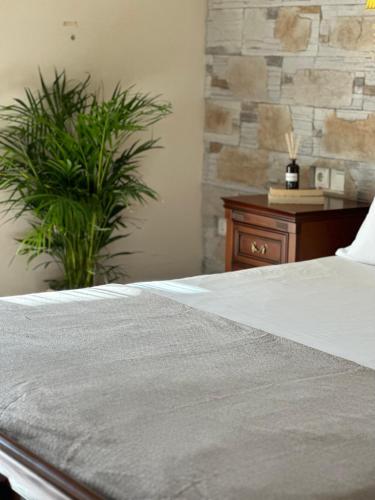 a bedroom with a large bed and a plant at Alseides Boutique Hotel & Spa in Elatochori