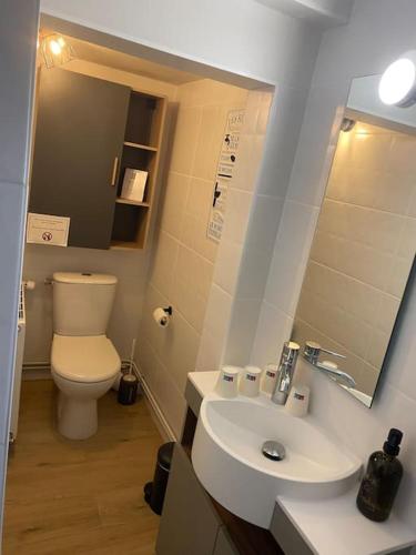 une salle de bain avec toilettes, lavabo et miroir dans l'établissement La Maison Sable - Chaleureuse Familiale avec Jardin-300m de la plage, à Ouistreham