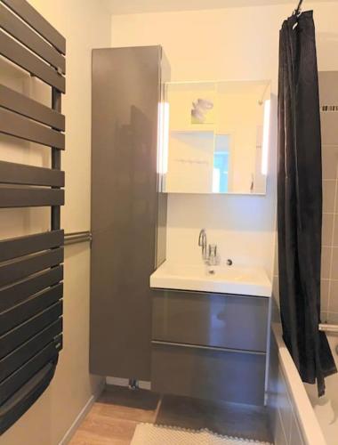 a bathroom with a sink and a shower at Très Bel appart proche CDG Bourget et Paris in Le Blanc-Mesnil