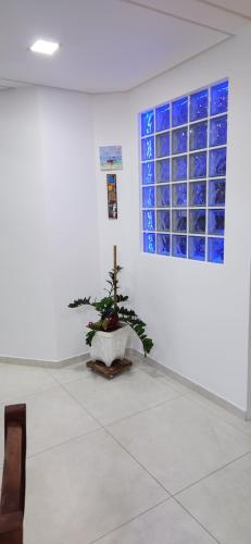 una pianta in una stanza bianca con finestra di Casa em condomínio fechado ad Águas de Lindóia