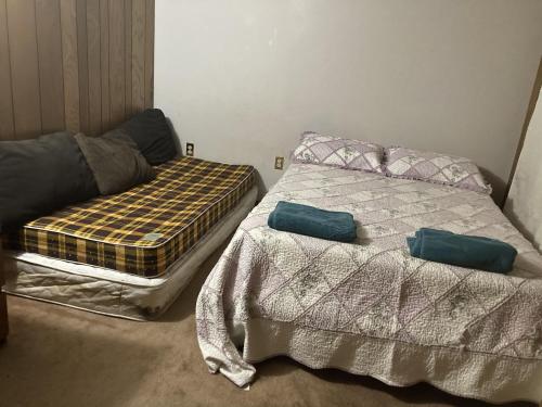 - une chambre avec un lit et 2 oreillers dans l'établissement Walkout Apartment with a spacious backyard in the Ravine, à Toronto