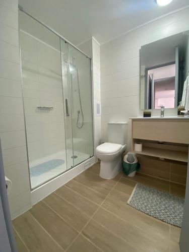 a bathroom with a shower and a toilet and a sink at Departamentos Bahia Suites in Bahia Inglesa