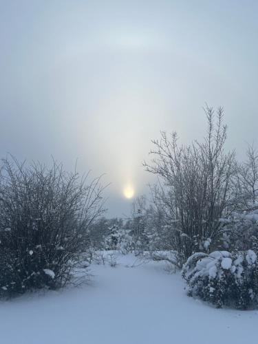 a snow covered field with the sun in the background at Pie Ezerrozēm in Ķavari