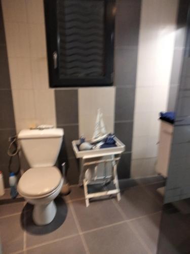 ジュエ・レ・トゥールにあるLe petit romainの白いトイレと洗面台のあるバスルーム
