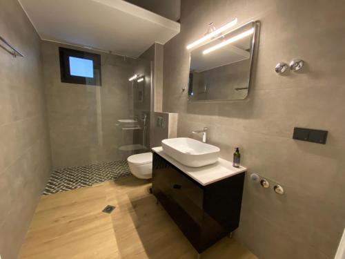 La salle de bains est pourvue d'un lavabo, de toilettes et d'un miroir. dans l'établissement Element Suites - Red - Apt 1BD - Kalambaka, à Kalambaka