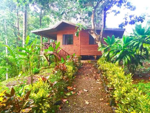 Un jardín fuera de CASITAS GINGER