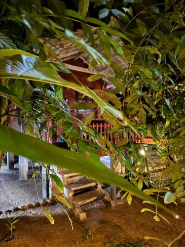 Un jardín fuera de Lala's Place