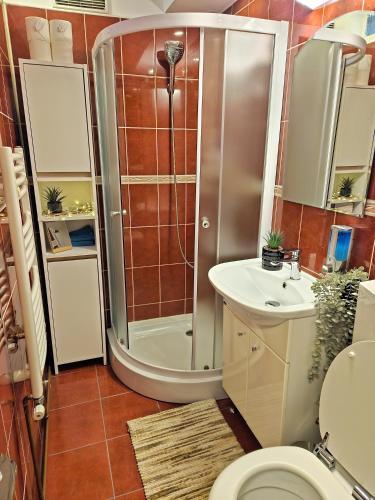 a bathroom with a shower and a toilet and a sink at Tusmorez Central Apartment in Târgu-Mureş