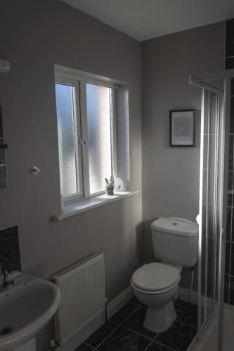 uma casa de banho com um WC, um lavatório e uma janela em En-Suite room in Carlow Town em Carlow