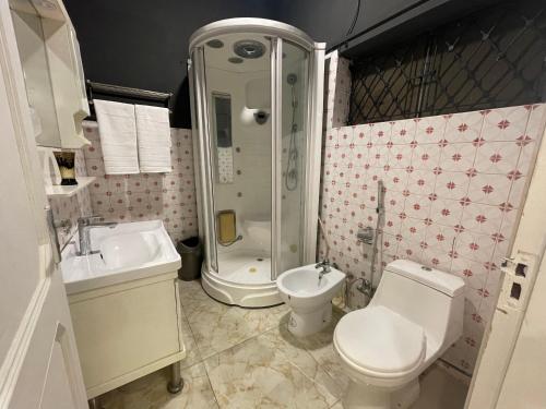 La salle de bains est pourvue d'une douche, de toilettes et d'un lavabo. dans l'établissement Loft bnb f-10 Islamabad, à Islamabad