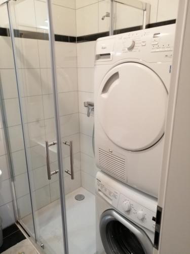 a washing machine in a bathroom with a shower at Le Petit Paradis du chalet Perce-Neige in Châtel-Saint-Denis