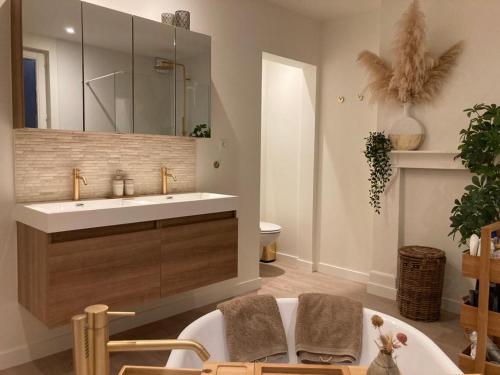 W łazience znajduje się umywalka i lustro. w obiekcie Le petit béguinage w mieście Tongeren