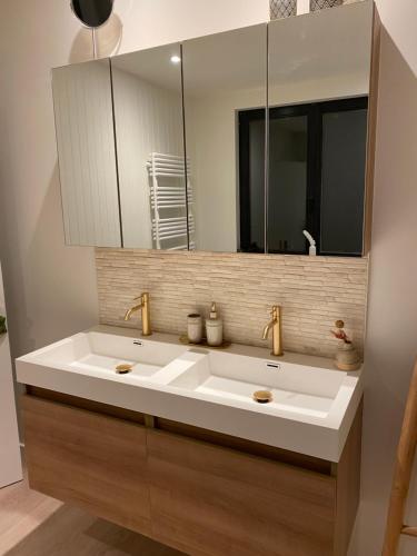 a bathroom with a large white sink and a mirror at Le petit béguinage in Tongeren
