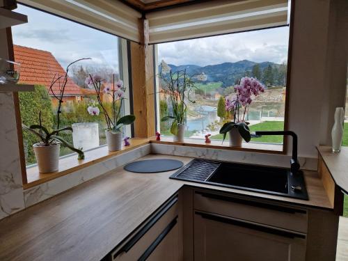 a kitchen with a window with potted plants at FERIENHAUS A&C DELUXE AM SEE in Spielberg
