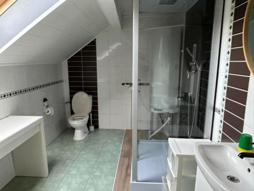 a bathroom with a shower and a toilet and a sink at Chez nathalie in Habay-la-Neuve