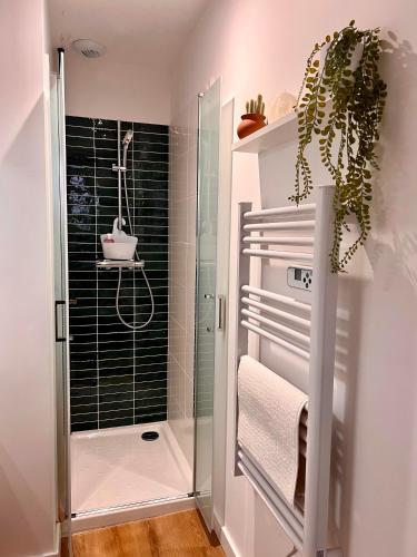 une salle de bain avec une douche avec une porte vitrée dans l'établissement Casa Nostra - T1 - Terrasse privative, à Toulouse
