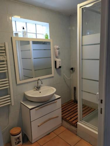 une salle de bain avec un lavabo et une douche avec un miroir dans l'établissement Calanques Prado Stade et Parking, à Marseille