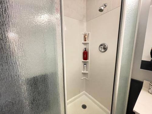 a shower with a glass door in a bathroom at Janis Lakeview Cottage 12-16 Guests in Wilberforce