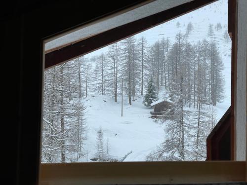 a view of a snow covered forest from a window at BOUQUE GEORGEOLINE in Rhêmes-Notre-Dame