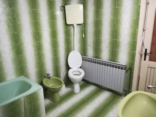 zieloną łazienkę z toaletą i umywalką w obiekcie Rajski metoh w mieście Kosjeric